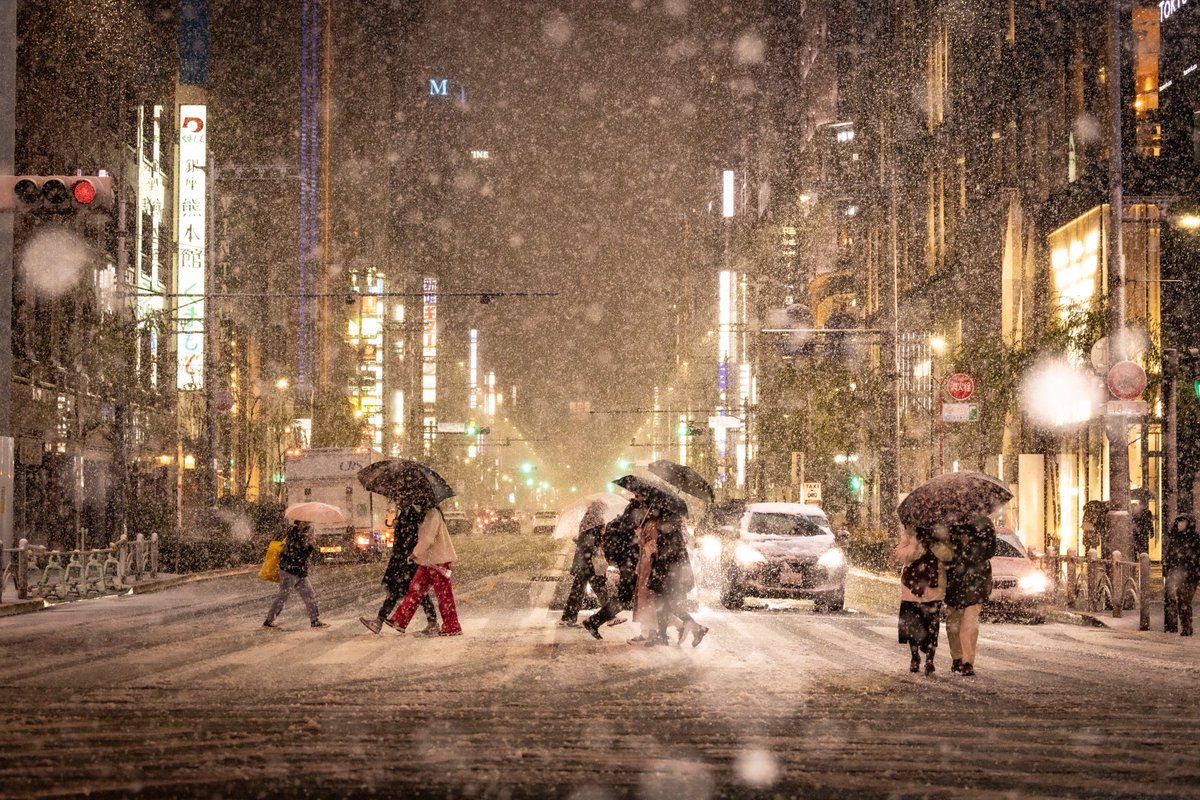 kiichiy_'s tweet photo. 東京の雪景色です。
#東京の雪 https://t.co/bUTrTHZqbD