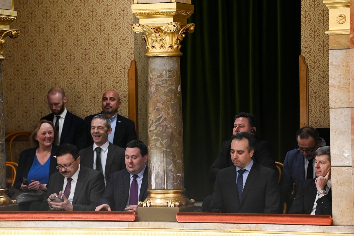 Szabolcs Panyi tweet media