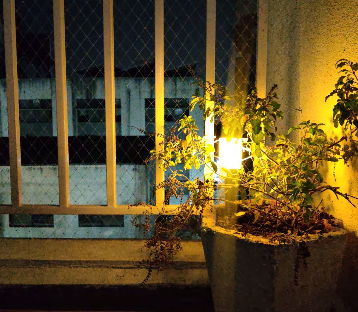 surshrisolar's tweet photo. Our Garden #SolarProducts range includes all types that are typically required in outdoor spaces illumination 🏡 #SolarGardenLights include #SolarBollard #SolarPathway lights, #SolarGate lamps, #SolarFootLights & Down lights etc.🇮🇳
Lets Go Green💚Go Solar🌞
P.S : Read ALT👇now. https://t.co/6SQuWtOiZ2