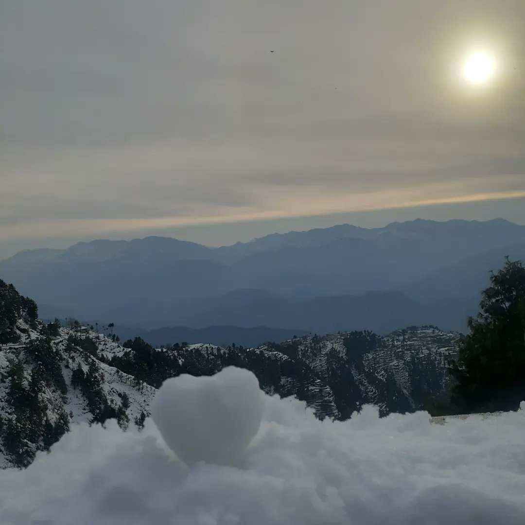 Kashuf Batool tweet media