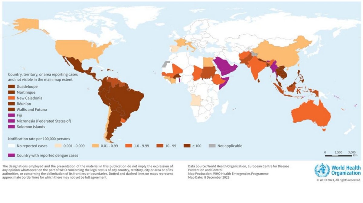 AmosNdhere's tweet photo. 🌍💉 Kudos to @EmergexVaccines for medical countermeasures  against #dengue! With over 5 million cases &amp; 5,000+ deaths in 2023WHO estimates, your groundbreaking work is more crucial than ever.  Excited for the life-changing impact of your research. #GlobalHealth #Biotech https://t.co/rKGVOUtm0X