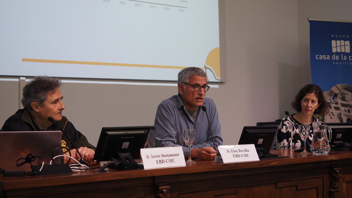 Estación Biológica de Doñana - CSIC (@ebdonana) on Twitter photo El pasado jueves presentamos el informe "Estado de la Biodiversidad de Doñana" con los resultados de la Memoria de Seguimiento de 2023 de la <a href="/ictsdonana/">ICTS Doñana. Laboratorio Vivo.</a>
➡️Consulta el informe completo: doi.org/10.20350/digit……
🔴Rueda de prensa completa: youtube.com/watch?v=EDGudm… El pasado jueves presentamos el informe "Estado de la Biodiversidad de Doñana" con los resultados de la Memoria de Seguimiento de 2023 de la <a href="/ictsdonana/">ICTS Doñana. Laboratorio Vivo.</a>
➡️Consulta el informe completo: doi.org/10.20350/digit……
🔴Rueda de prensa completa: youtube.com/watch?v=EDGudm…