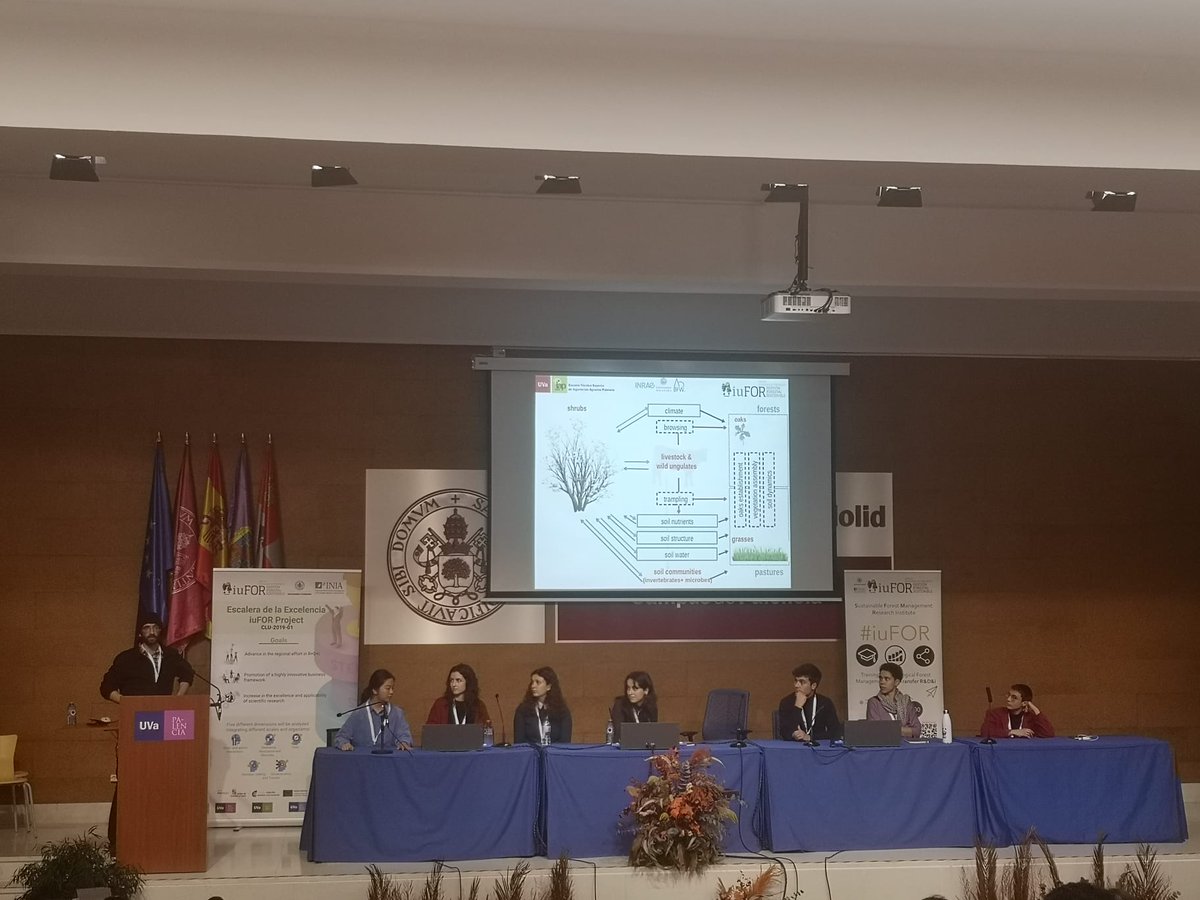 helenmc90's tweet photo. Last week several members of the #restormine group presented some of our research work at the Annual Young Foresters Meeting!🌲🌳🌱📊
Thanks so much to #YF24 Organising Committee!
📸@SoyForestal
@YoungForesters https://t.co/VaSDTa0gEd