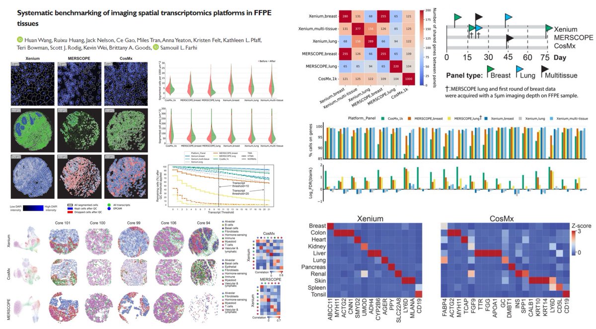 Benchmarking Imaging-based #SpatialTranscriptomics on FFPE #TissueMicroArray

7 tumors + 16 normal tissues (Difference b/w Renal & Kidney?🤔)

#CosMx 1 panel
#Xenium 3 panels
#MERSCOPE 2 panels
>94 genes overlap b/w panels

'CosMx transcript counts may be slightly inflated by