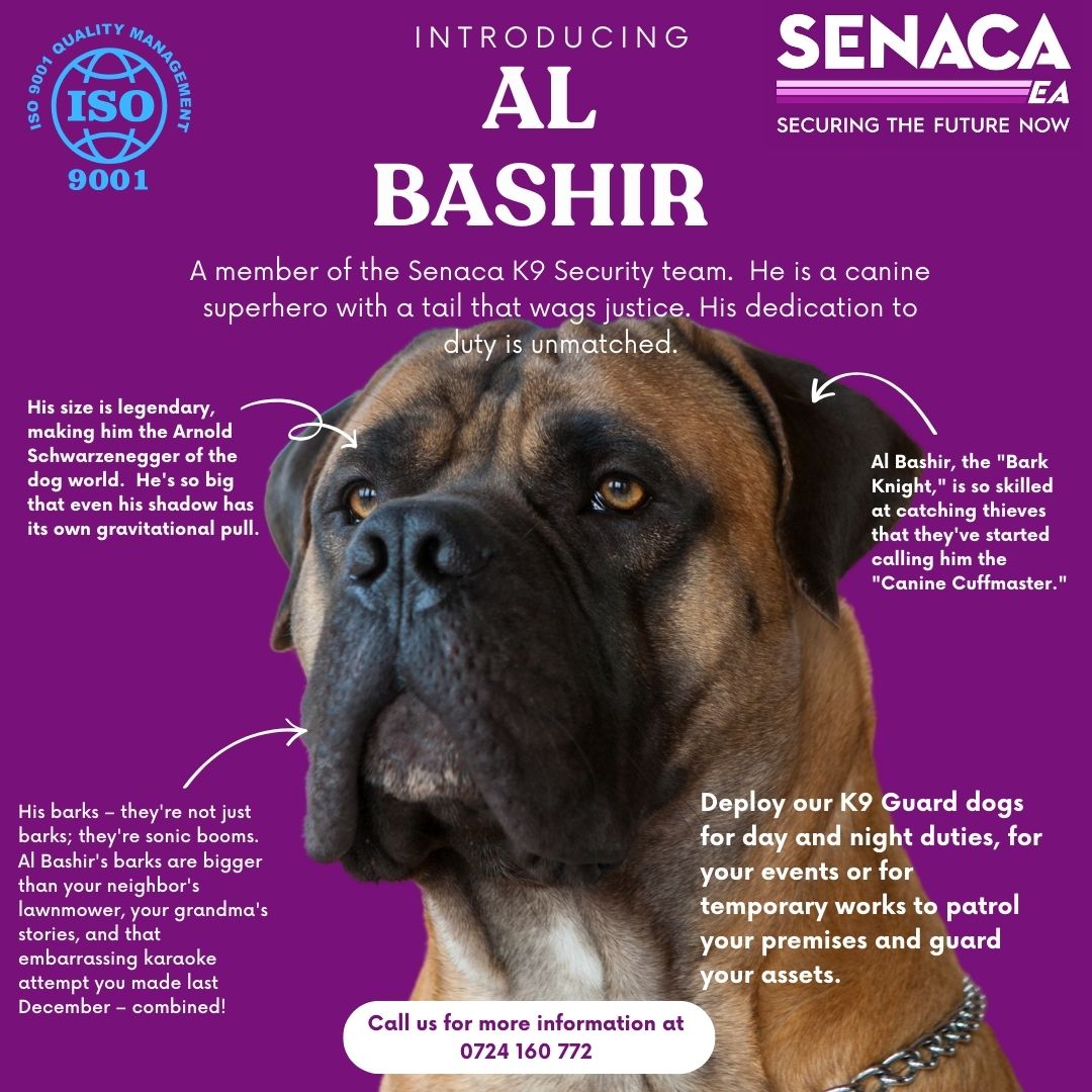 Elevate Your Security experience with our K9 security team. Our Security Dogs are well trained, dependable and smart. Call us at 0724 160 772 and let's work together! Together, let's create a safer world! #SomeoneTellNakhumicha Westlands White Butterflies Ciru Muriuki Miley Cyrus