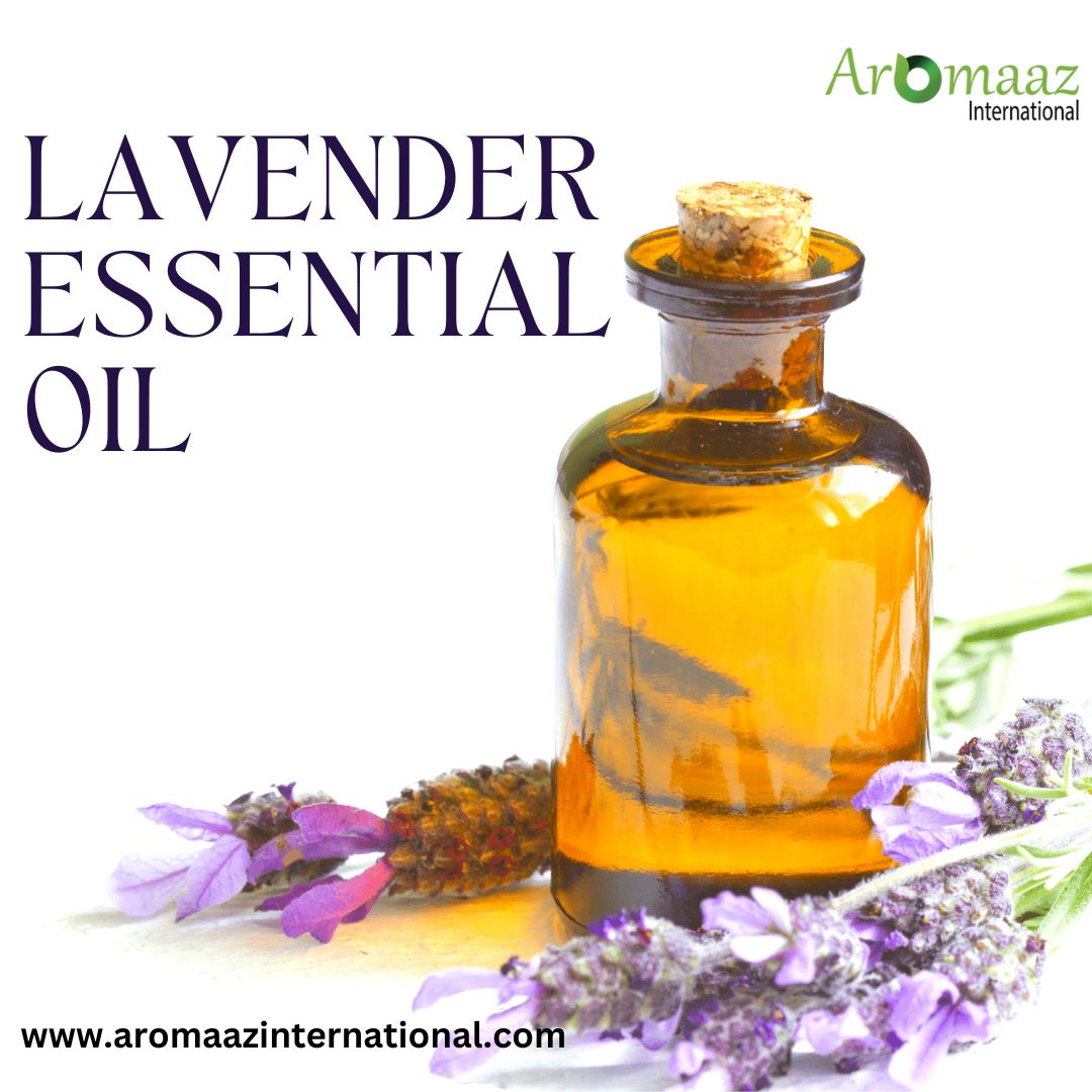 AromaazIntl's tweet image. Unlock the magic of Lavender Essential Oil and elevate your self-care game!
Ready to embark on a Lavender-infused journey? Your wellness awaits!

For more info, visit: aromaazinternational.com/natural-essent…

#LavenderLove #EssentialOilMagic #NaturalWellness #lavenderoil
