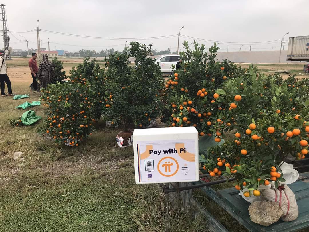 tam crypto tweet media