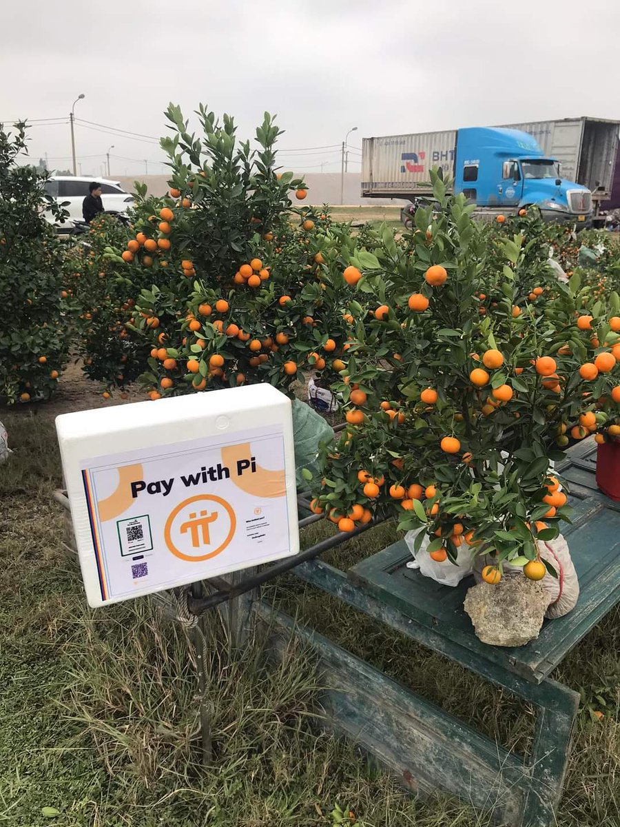 tam crypto tweet media