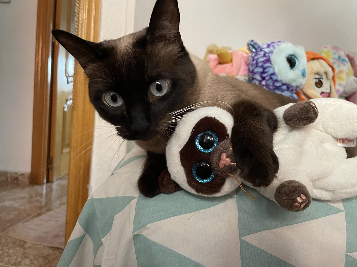 aecllpsie's tweet photo. te amo mi vidota https://t.co/WL1NXoJfaX