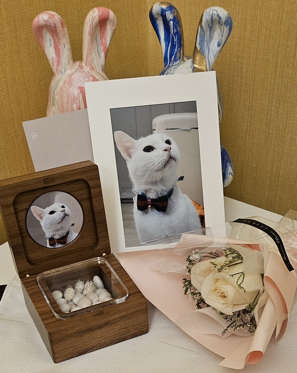 올해도 건강하길 바란나의 바람이 무색하게
우유가 무지개 다리를 건너버렸다.
남은 퐁당이를 보고 힘을 내야만하는데
아직도 믿기지가 않는다.
하나하나 모두 후회가 많이 남아서.아직 못보내는 마음에 집으로 데려온 우유에 대해 말이 많아서 그것조차 마음에 걸린다
우리집으로 같이온것도 욕심일까