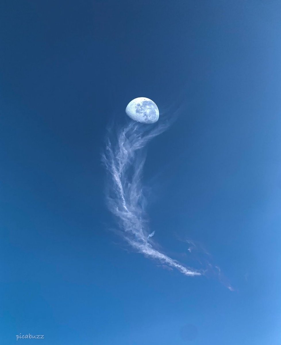 Moon lovers here? 👋