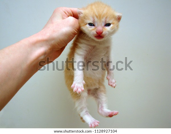 rena.⠀

NEED TO REVIVE THIS ACCOUNT AGH