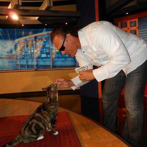IANdrewDiceClay's tweet photo. Sting and a tabby cat. Have some din-dins. OOOOOOW! https://t.co/C3aVlapWG4