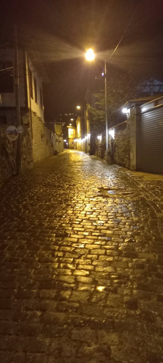 Ali Kemal Şener (@alikema21723160) on Twitter photo 