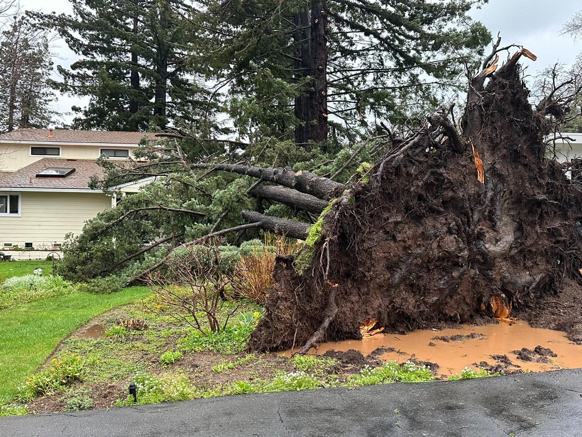 CALFIRELNU's tweet photo. During Sunday's storm our Emergency Command Center (ECC) dispatched 391 incidents. Among that call load was 203 reports of powerlines down and 143 for trees that had fallen down.

For comparison to a normal call volume, in 2023 our ECC averaged 68 incident dispatches per day. https://t.co/nXpEduYDyg
