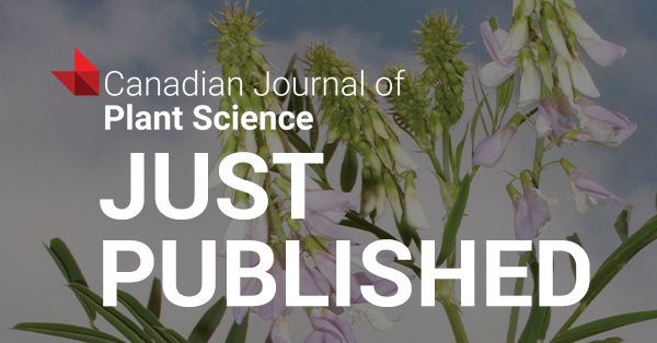 postversa's tweet image. Now available in Can J #PlantScience: a review of techniques for monitoring nutrient solutions in #hydroponics systems, from Fathidarehnijeh et al.:  buff.ly/3OvM3ZD 
@CanadianHortSci #agsci #cdnag