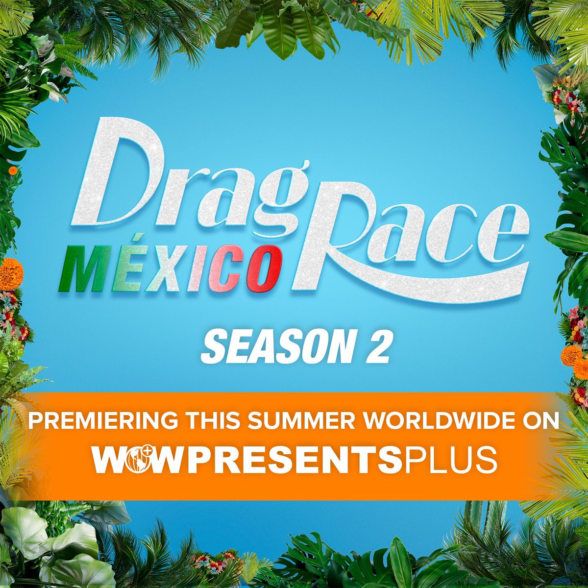 WOW Presents Plus Español tweet media