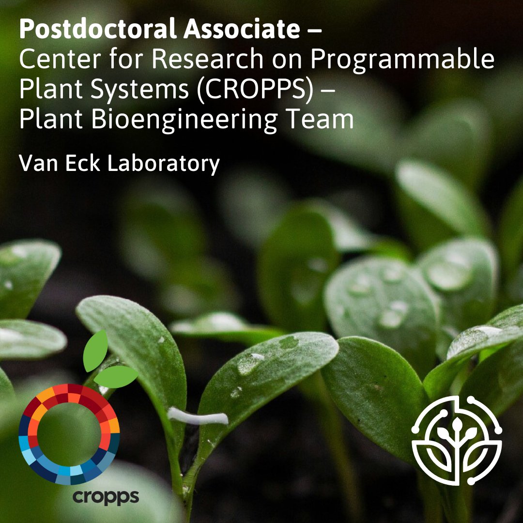 Exciting opportunity with the Center for Research on Programmable Plant Systems (CROPPS) and BTI's Van Eck Lab! Click here for more info and to apply: recruiting.paylocity.com/Rec.../Jobs/De…
Please share!