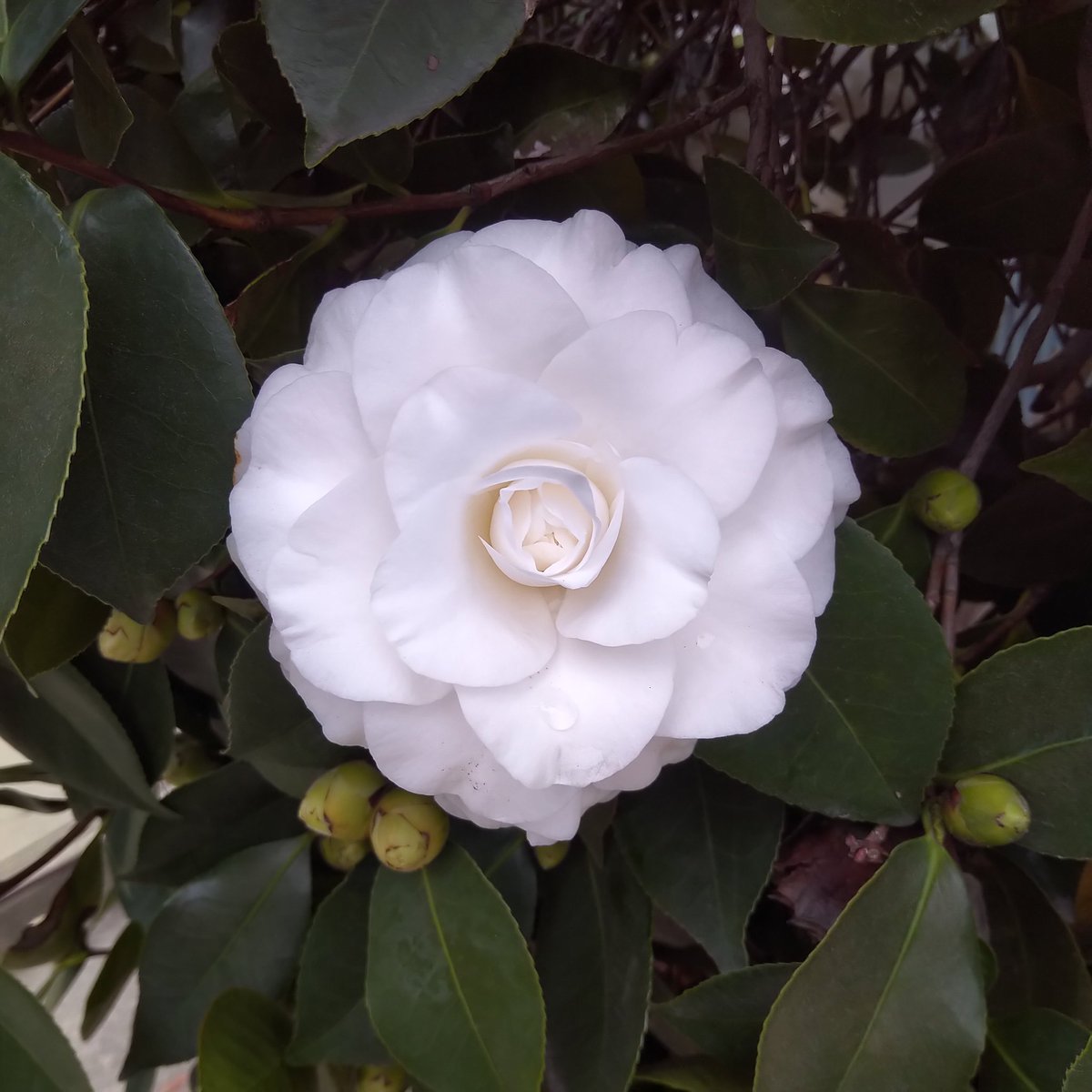 ColeHenri's tweet photo. Remember to see beauty--even during crazy, monsoon weather. https://t.co/oNczECxRfG
