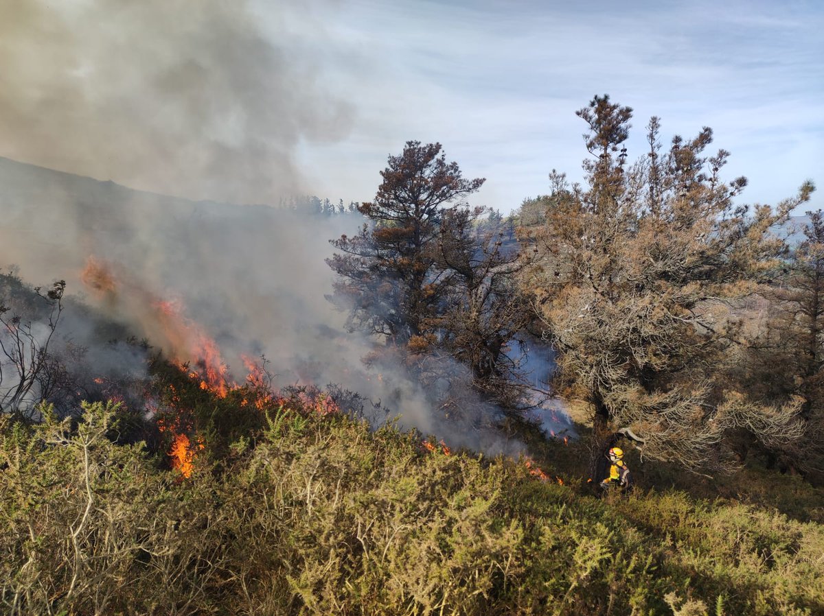 AT_Brif's tweet photo. Hoy la @BRIF_Ruente han ejecutado dos quemas #RxFire.  Una de ellas en #Alceda #Cantabria para regeneración de pastos y con una superficie quemada de entre 7 y 8 hectáreas aproximadamente. 📸 Alceda. 👇 https://t.co/L8H7nynuQl