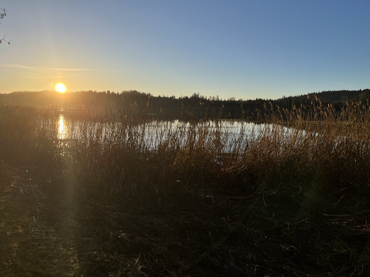 batmosio's tweet photo. c l’heure de la golden shower au lac de saint point à malbuisson https://t.co/j7JlJ7FwV3