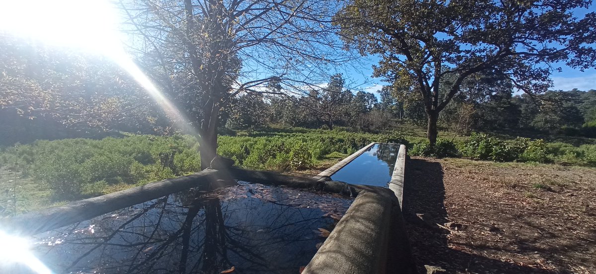 Ecoaventurate's tweet photo. Iniciamos nuestra caminata en la campiña para adentrarnos en lo profundo del bosque montaña arriba. #lavidaalairelibreesmejor #recreational #hike #hikingtime #hikingday #outdoorecreation #recreacionalairelibre #senderismodemontaña #REALJAL https://t.co/kdwKNqJ9JD