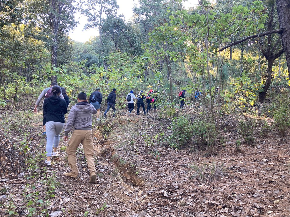 Ecoaventurate's tweet photo. Iniciamos nuestra caminata en la campiña para adentrarnos en lo profundo del bosque montaña arriba. #lavidaalairelibreesmejor #recreational #hike #hikingtime #hikingday #outdoorecreation #recreacionalairelibre #senderismodemontaña #REALJAL https://t.co/kdwKNqJ9JD