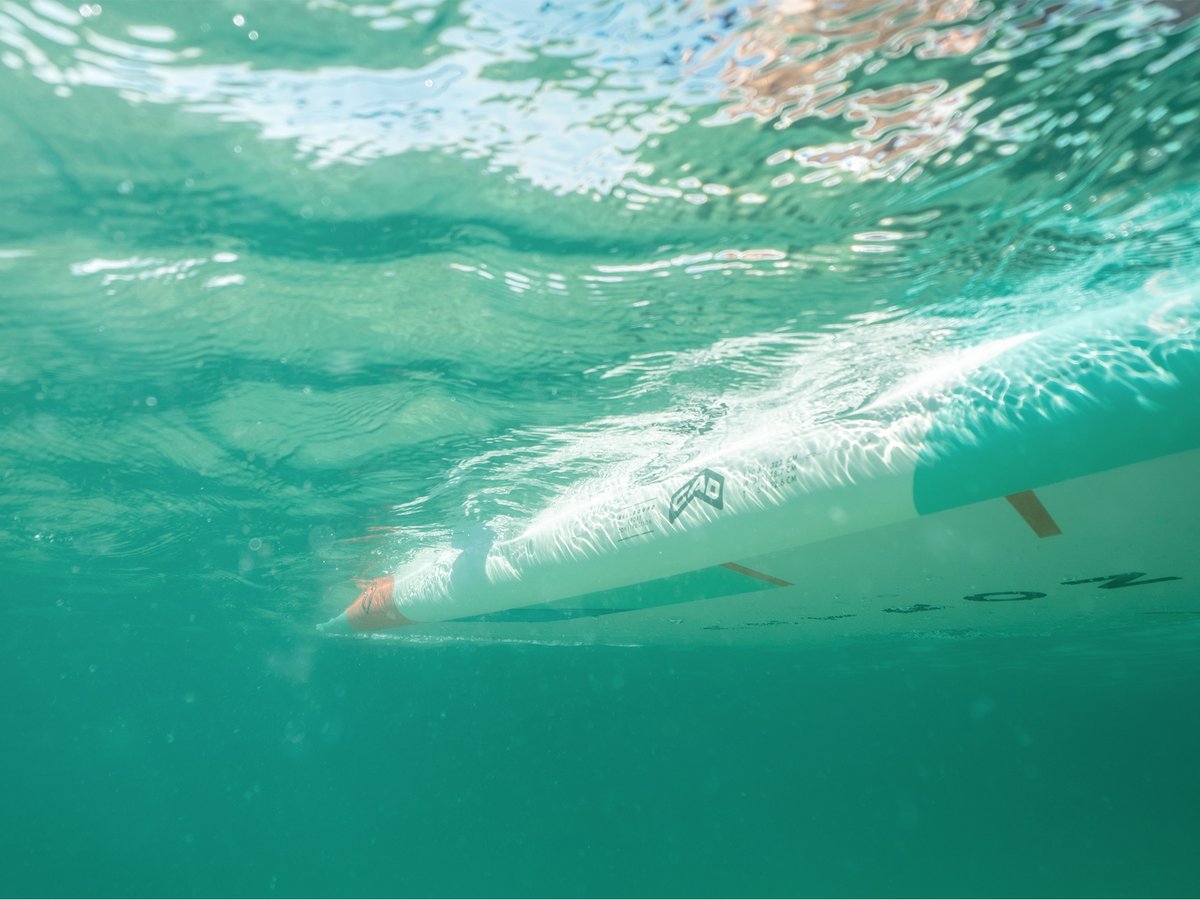 supconnect's tweet photo. Elevate your day with a board and a paddle 😉🙌
#supconnect

📸: @aztronglobal

.
.
.
#paddleboard #sup #paddleboarding #standuppaddle #paddle #suplife #standuppaddleboard #standuppaddleboarding #watersports #standuppaddling #adventure #paddlelife #suplove #paddlesurf #supboard https://t.co/81YXfgfMHR