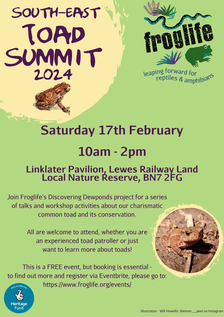 froglifers's tweet photo. 📣Calling all #toad enthusiasts!📣 

Join the #DiscoveringDewponds team for the #SouthEastToadSummit in Lewes, East Sussex on Sat 17th February for a day of talks and activities on the conservation of the #commontoad!

Register your attendance: https://t.co/FkRQs3JHw0 https://t.co/lTUbSOgOsA