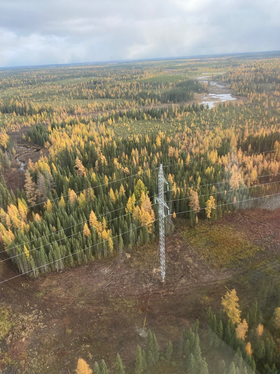 wataynikaneyap's tweet photo. On the Wataynikaneyap power transmission line between Muskrat Dam and Sachigo Lake First Nations, taken in October. There are a total of 4,230 steel towers on the project
#IndigenousOwnership #OntarioEnergy #LineThatBringsLight #OntarioConstruction #TransmissionLine https://t.co/dOAW9I9f6p