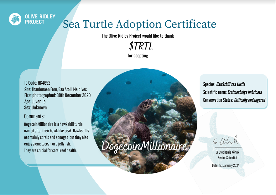 am_tortl's tweet photo. @youfadedwealth Basically I run 3 projects solo and we adopt animals IRL

Some are trackable some we name
Either way contributes to them IRL

@TurtleSyndicate @TortolToken @SpaceApeClub https://t.co/Bod0pvcSpo