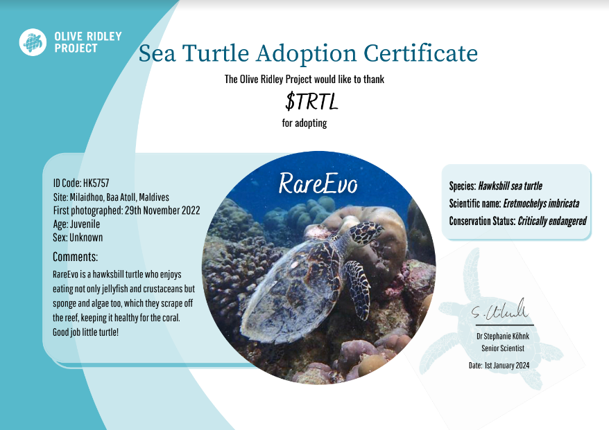 am_tortl's tweet photo. @youfadedwealth Basically I run 3 projects solo and we adopt animals IRL

Some are trackable some we name
Either way contributes to them IRL

@TurtleSyndicate @TortolToken @SpaceApeClub https://t.co/Bod0pvcSpo