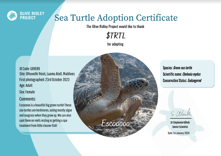 am_tortl's tweet photo. @youfadedwealth Basically I run 3 projects solo and we adopt animals IRL

Some are trackable some we name
Either way contributes to them IRL

@TurtleSyndicate @TortolToken @SpaceApeClub https://t.co/Bod0pvcSpo