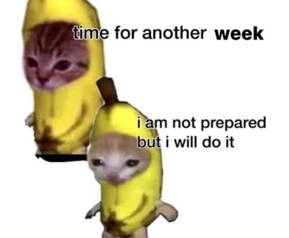 literallymecats's tweet photo. https://t.co/N68DfRamQa