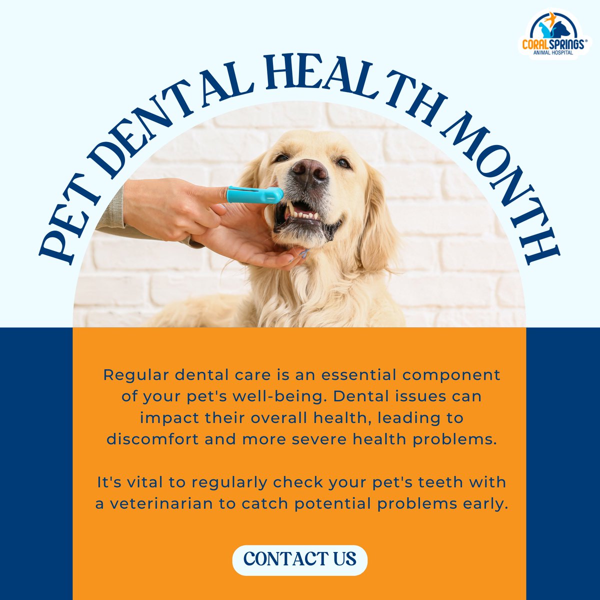 CSAnimalHosp's tweet image. February is Pet Dental Health Month! 🐾🦷 Ensure your furry friend&apos;s well-being with regular dental care. Dental issues can be more than just a pain in the tooth; they can impact overall health. Schedule an appointment with us to keep those smiles bright and tails wagging.