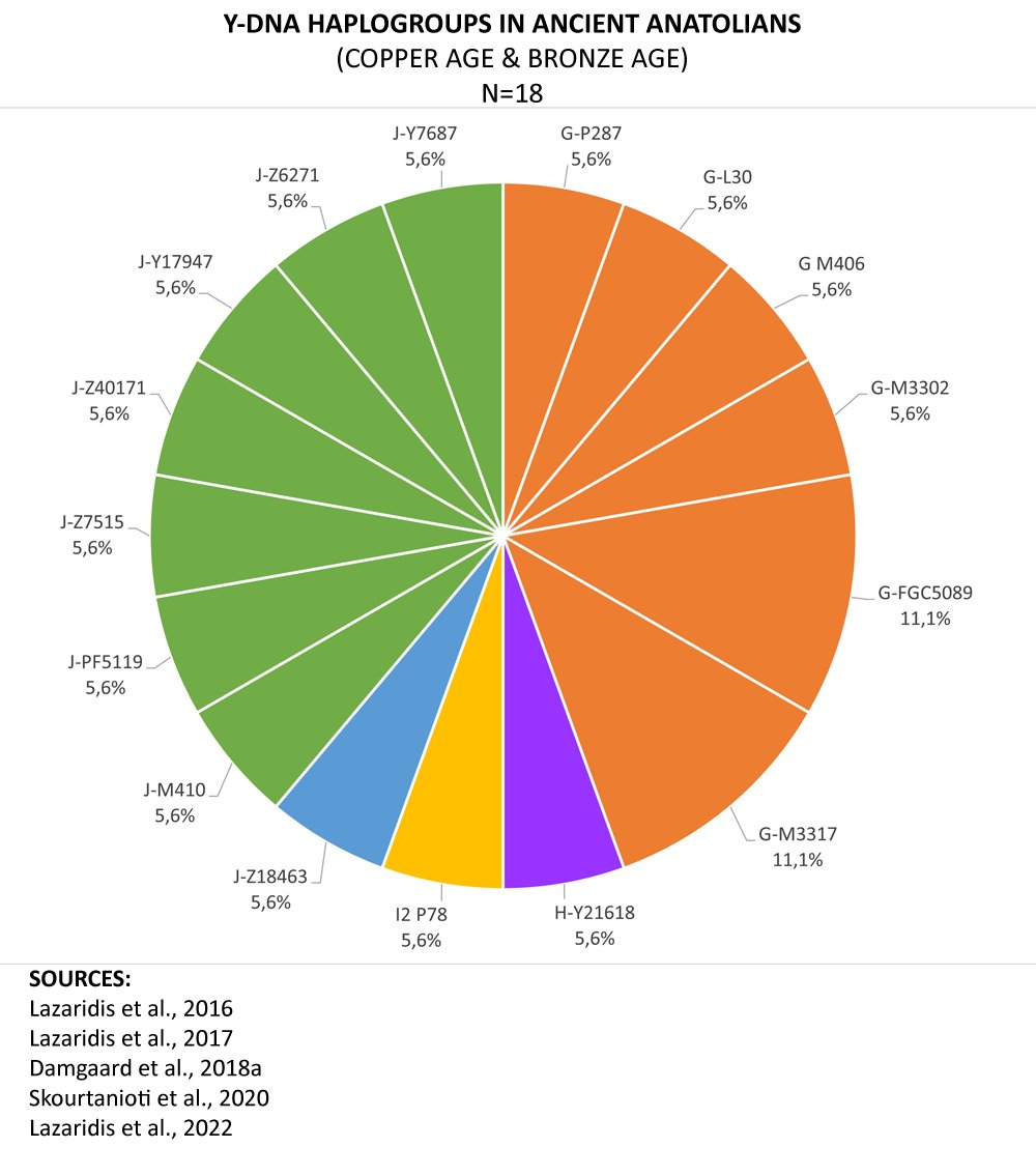 Turkish DNA Project tweet media