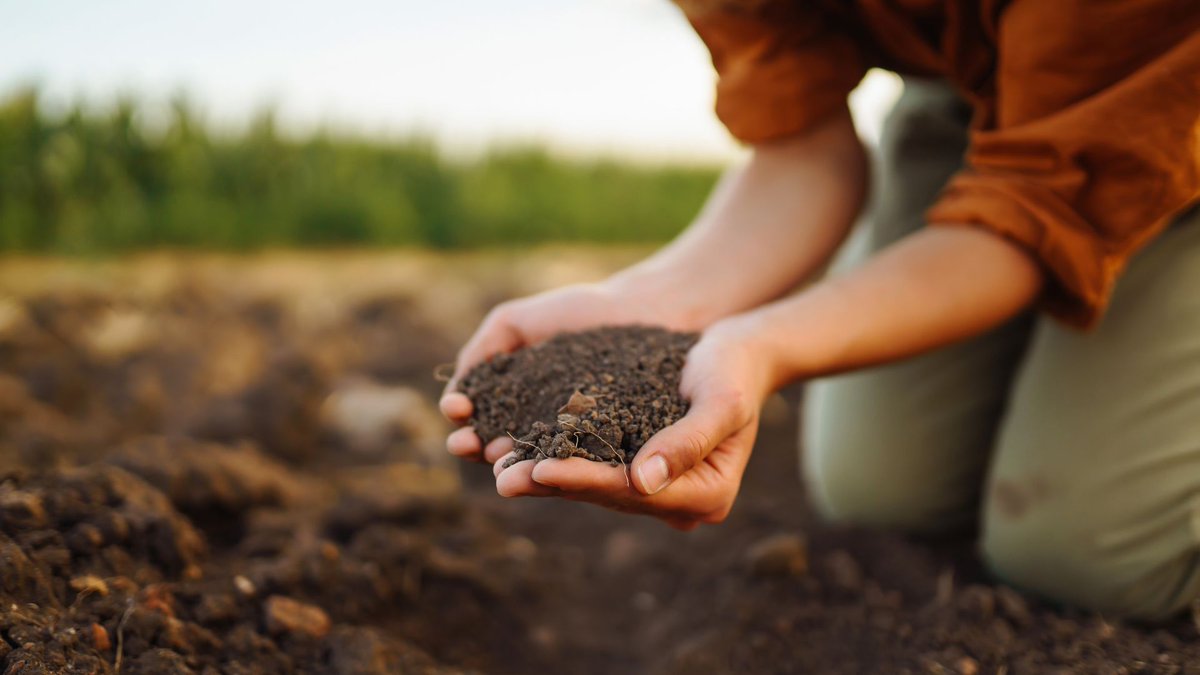 Soil_Science's tweet photo. This #NationalApprenticeshipWeek we want to highlight the Level 7 Soil Scientist Apprenticeship which has been approved for delivery. We are currently waiting to become an end-point assessment organisation, so watch this space! 
#SkillsForLife #NAW2024

https://t.co/k3qCkrXizW https://t.co/RytEI0YOZ1