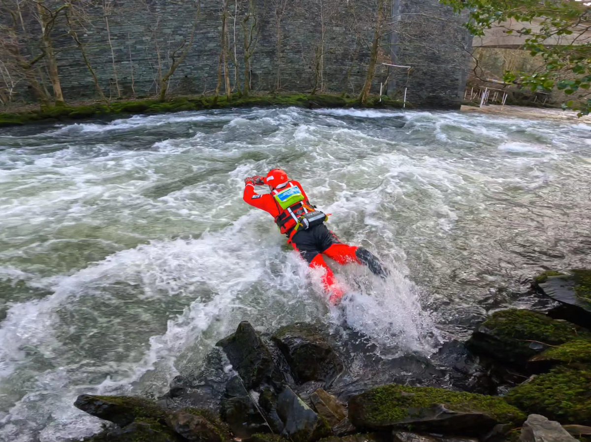 HSARDogs tweet media