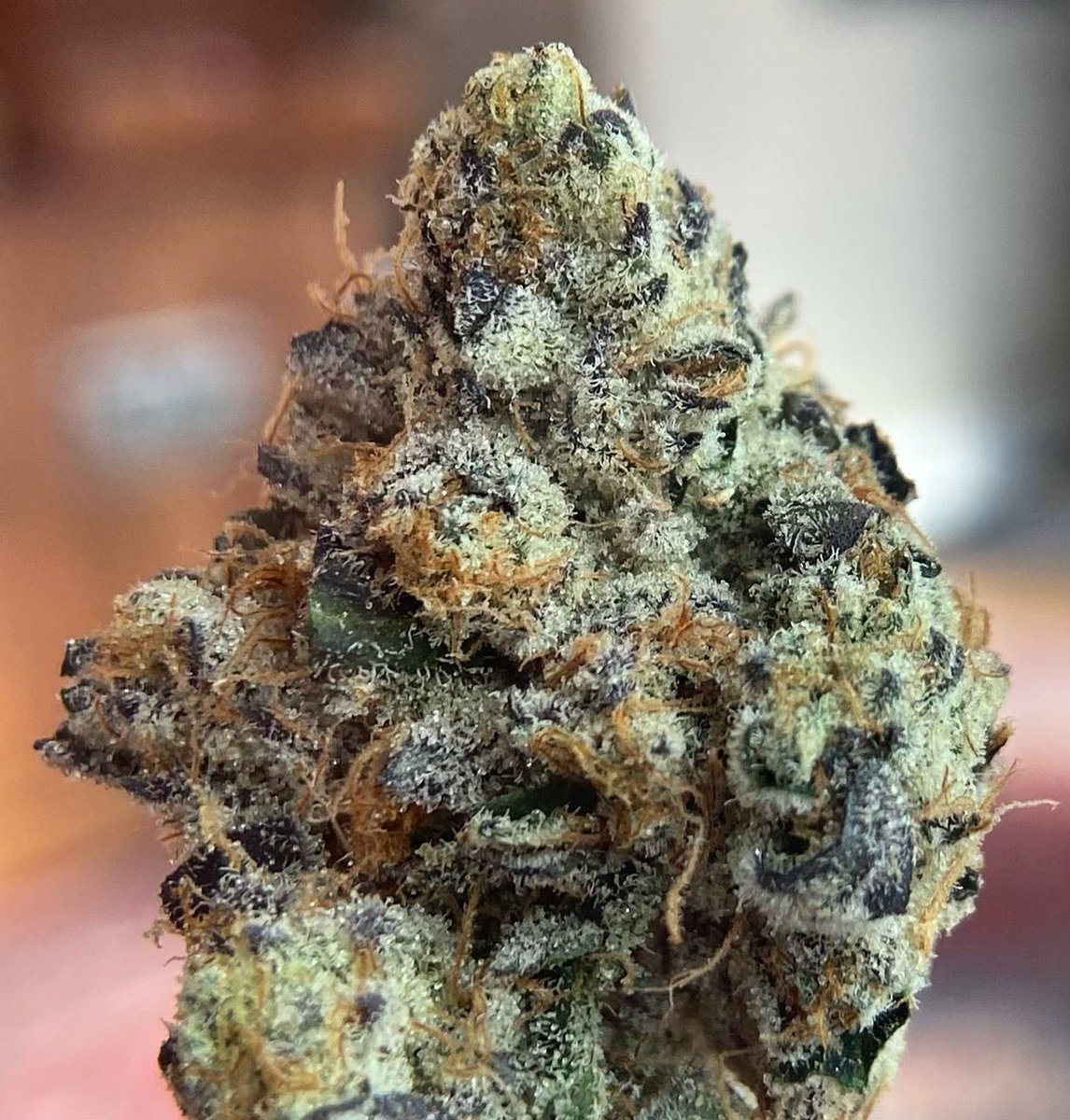 Some Thunderdome from <a href="/GreenDotLabs/">Green Dot Labs (Dave)</a> 😍😍 so sparkly