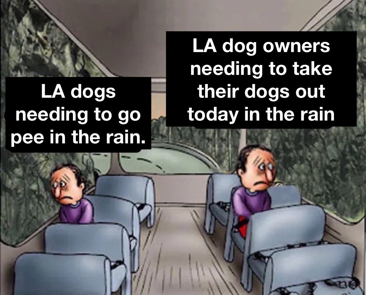 americanamemes's tweet photo. https://t.co/hoEwMbw1YX