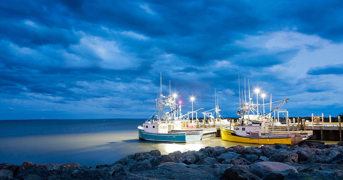 We’re looking for diverse and talented candidates to join the Atlantic Fisheries Licence Appeal Board, which provides commercial fish harvesters with an independent last level of appeal.