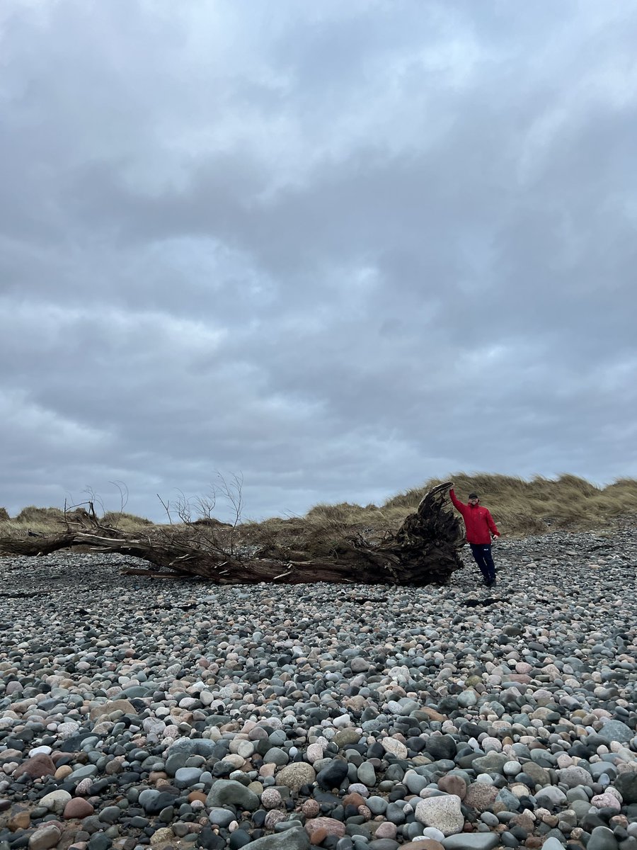 sjwright12's tweet photo. @CMAltree @Sofrimar Couldn’t carry this back though 😂! 
Keeping my favourite beach clean !🌍💙@Walney_Island https://t.co/KPL4Zk0i1h