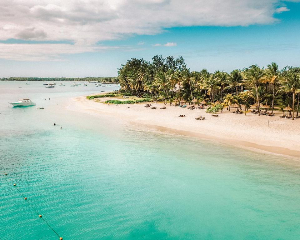 ILE MAURICE : Une destination tropicale paradisiaque #ilemaurice #Voyage #mauritius 
✅voyage-ile-maurice.info/ile-maurice/ac…