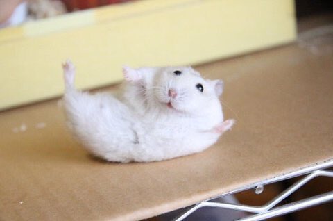 힘 들지말고........
햄 드세요... .   ......       .........  .........