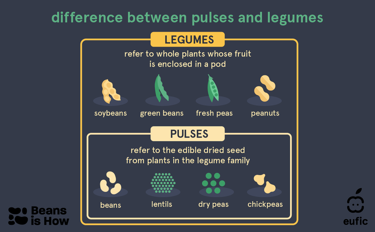🌱 Legumes, pulses and beans may seem similar, but they're not the same! #Legumes are plants whose fruit is enclosed in a pod, and #pulses are the dry seeds inside those pods. #Beans, lentils, chickpeas, and split peas are all pulses! #WorldPulsesDay #LovePulses