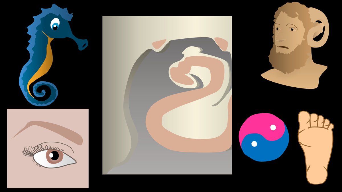 1/Is your understanding of medial temporal anatomy, well, temporary?

If only there was a way to make hippocampal anatomy memorable!  

Here is a thread of the basics of hippocampal anatomy that will hopefully stay in your hippocampus!