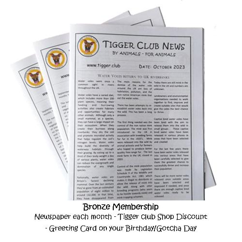 Tigger Club News Membership: Treat yourself or send as a gift. Members get a newspaper delivered each month, plus more depending on membership level tigger.club/shp-mbr From £1.50 per month UK delivery Only #TiggerClubNews #Membership #ByAnimalsForAnimals #TreatYourself