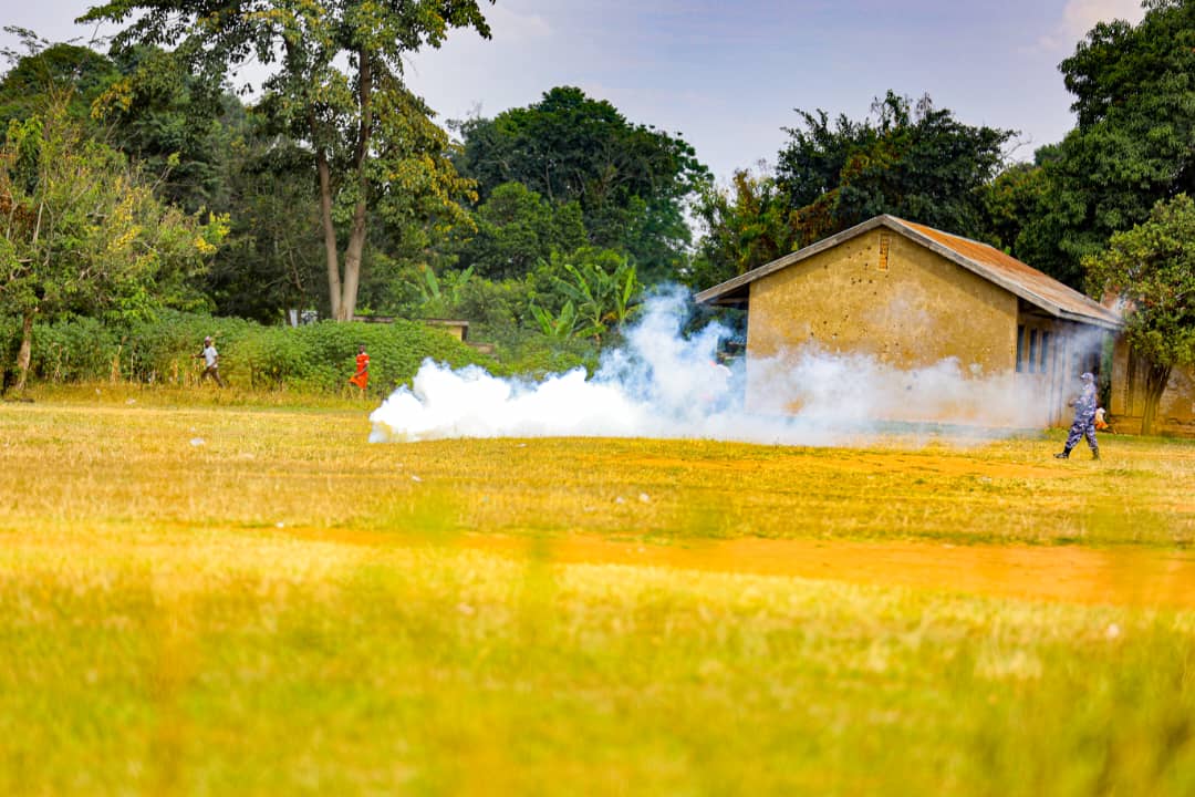 BOBI WINE tweet media