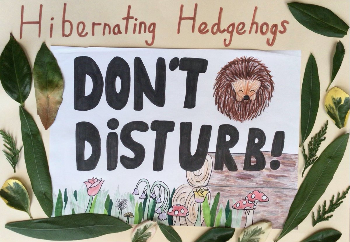 We’re delighted to announce the winner of our kids’ competition to design a sign to warn gardeners to look out for hibernating #hedgehogs! 
Congratulations to Ruth in Portsmouth - bold, clear &amp; bright!
💤 🦔🍂 
Huge thanks to everyone who entered – we loved seeing your designs!
