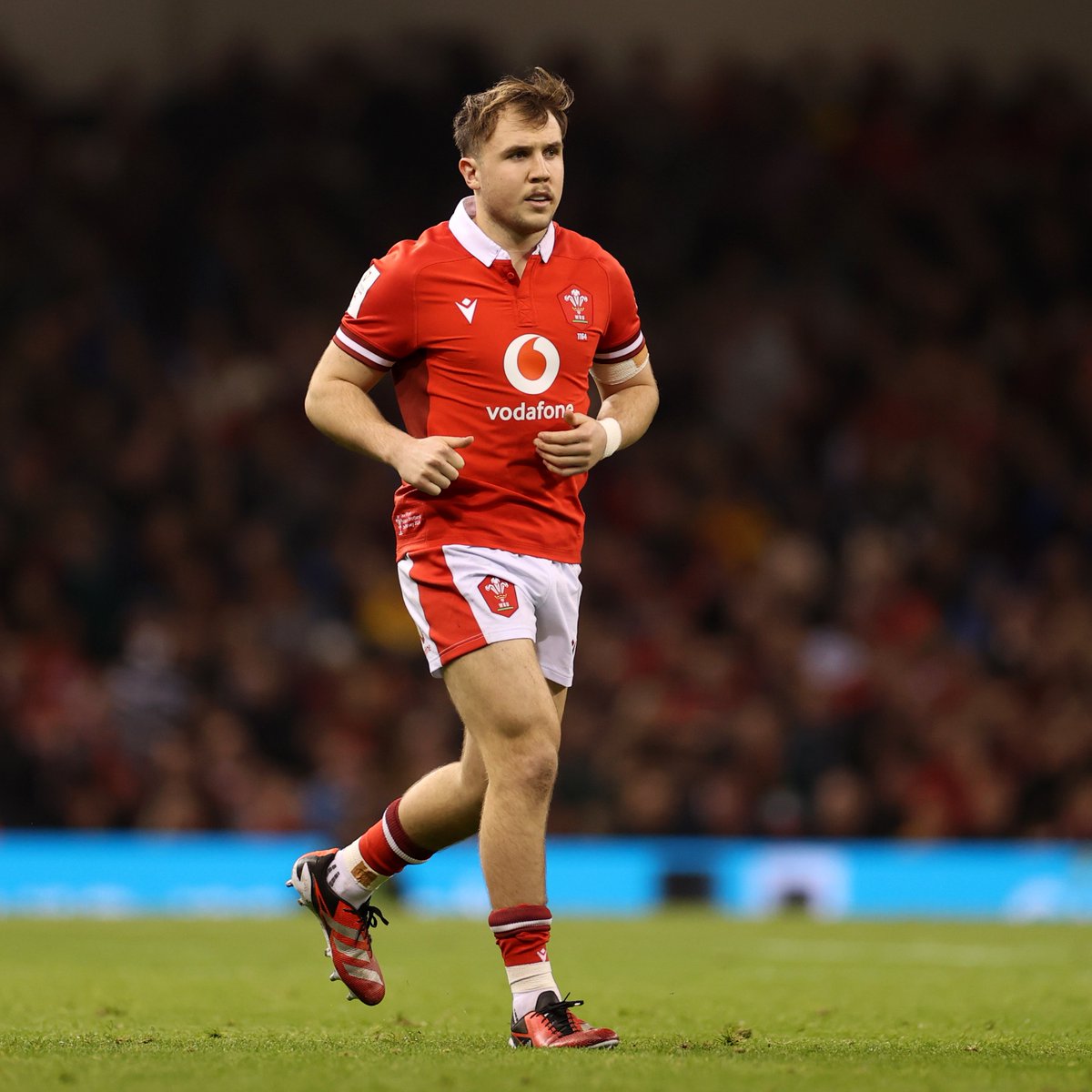 🏴󠁧󠁢󠁷󠁬󠁳󠁿 Huge congratulations to Ioan Lloyd, who on Saturday became the 253rd player to represent the Scarlets in Test rugby

Llongyfarchiadau i Ioan, chwaraewr rhyngwladol rhif #253 y Scarlets

#YmaOHyd